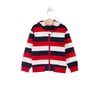 Lisanslı Striped Erkek Bebek Kapüşonlu Hırka