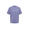 O Yaka Baskılı Erkek T-Shirt ONSMORGAN LIFE RLX GRADIANT SS TEE 22029472 