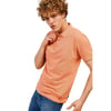 Polo Yaka Erkek T-shirt TC4613