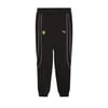 Puma Erkek Pantolon Ferrari Pants 62704701