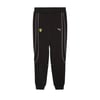 Puma Erkek Pantolon Ferrari Pants 62704701