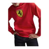 Puma Erkek Sweatshırts Ferrari Race Bigshield Hdie 62705401