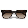 Ray-Ban Güneş Gözlüğü 4420 710/13 65-18 / unisex güneş gözlüğü