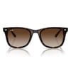 Ray-Ban Güneş Gözlüğü 4420 710/13 65-18 / unisex güneş gözlüğü