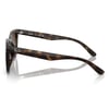 Ray-Ban Güneş Gözlüğü 4420 710/13 65-18 / unisex güneş gözlüğü