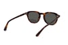 REDBERRY 9529 TORTOISE