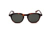 REDBERRY 9529 TORTOISE