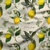 Kelebekli Limon Desenli Dijital Baskılı Kumaş