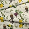 Keten Görünümlü Kuş ve Limon Desenli Dijital Baskılı Kumaş
