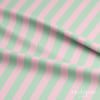 Mint Yeşili – Pudra Pembe 2,5 cm Çizgili Dijital Baskılı Kumaş