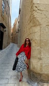 Zebra Kalem Etek 