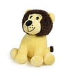 Aslan No:2