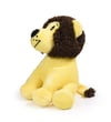 Aslan No:2