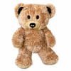 Ayı Teddy No2