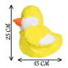 Daylin Chick No2
