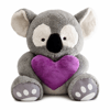 Hollywood Koala