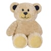 Teddy Ayı