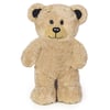 Teddy Ayı