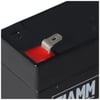 Fiamm FG10301 kurşun pil, 3.0Ah
