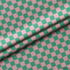 Mint / Pudra Damalı Kumaş