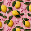 Pembe Fonlu Limon Desenli 3D Nakış Efektli Kumaş