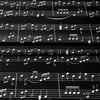 Siyah Fon Müzik Notası Desenli Kumaş