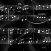 Siyah Fon Müzik Notası Desenli Kumaş