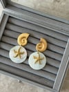DENİZ YILDIZI SEDEFLİ GOLD KÜPE