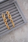 LEVİ GOLD BURGU KÜPE