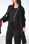 RED FLOW SİYAH TASARIM CEKET