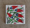 2X2 Magnet Katalog Kodu P5