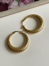 Çelik Gold Midye Küpe (3.10 Cm)