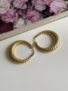 Çelik Gold Midye Küpe (3.10 Cm)
