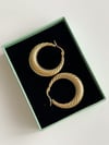 Çelik Gold Midye Küpe (3.10 Cm)