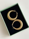 Çelik Gold Midye Küpe (3.10 Cm)