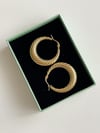 Çelik Gold Midye Küpe (3.10 Cm)
