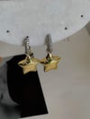 Özel Seri Vip Yıldız Küpe (3 Cm)