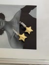 Özel Seri Vip Yıldız Küpe (3 Cm)