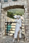 Gül Rüyası
