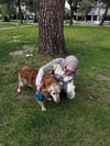 Twist Eşofman Takım Üçlü/Gri Sarı 