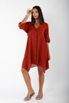 Hormiga Tunik