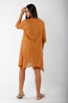 Hormiga Tunik