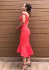 Balık Model Elbise