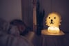 Mr Maria-Lion Lamba First Light