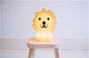 Mr Maria-Lion Lamba First Light