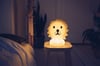 Mr Maria-Lion Lamba First Light