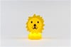 Mr Maria-Lion Lamba First Light