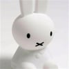 Mr Maria-Miffy Lamba First Light