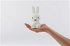 Mr Maria-Mini Miffy Lamba