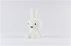 Mr Maria-Mini Miffy Lamba